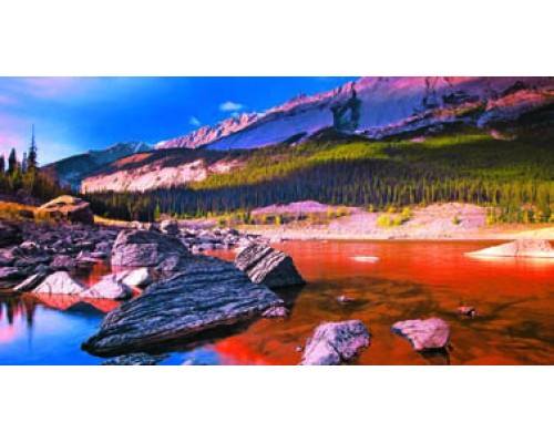 Desk Calendar DC38